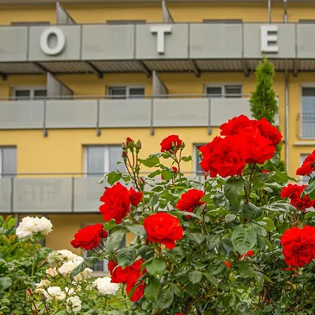 松恩花园酒店 酒店